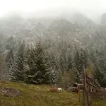 Stella Alpina Fabrezza 2*