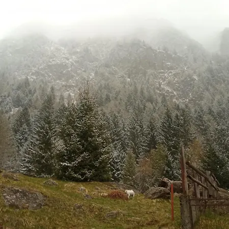 Stella Alpina Fabrezza 2*